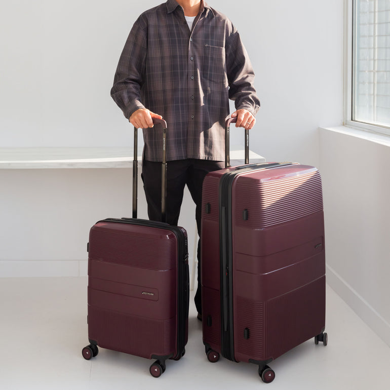 Airstream Anchorage 2-Piece Luggage Set