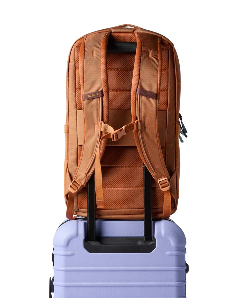 Cotopaxi Allpa 26L Daypack - Whiskey