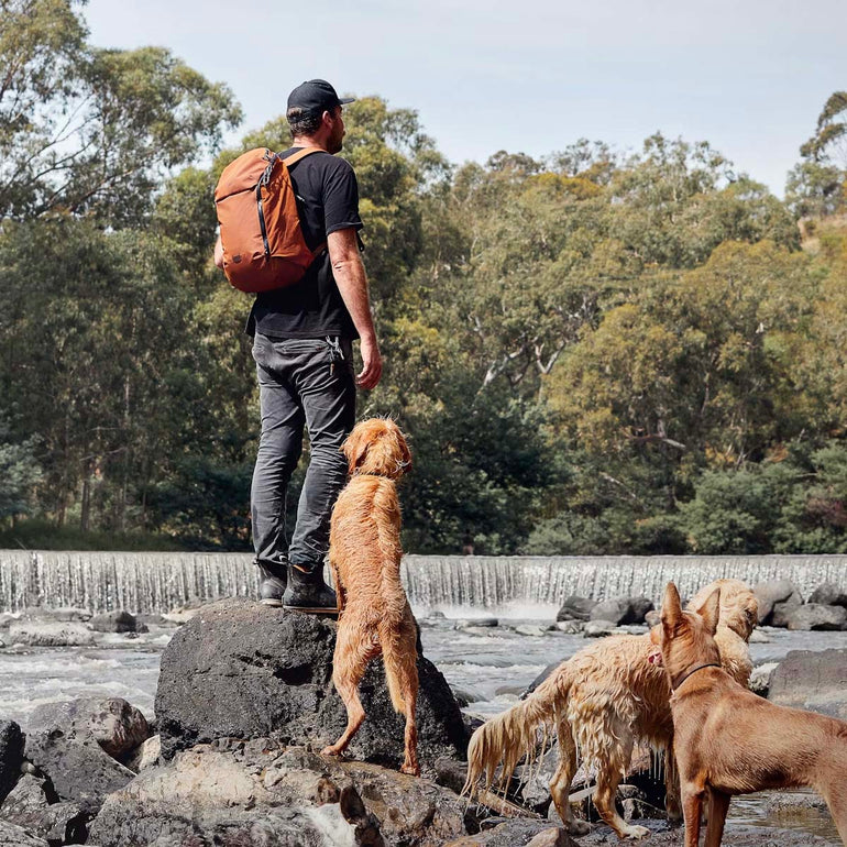 Bellroy Venture Ready Sac à dos 26L