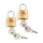 Samsonite 2 Pack TSA Brass Key Locks