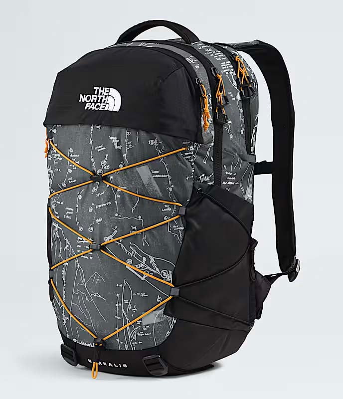 The North Face Borealis Backpack