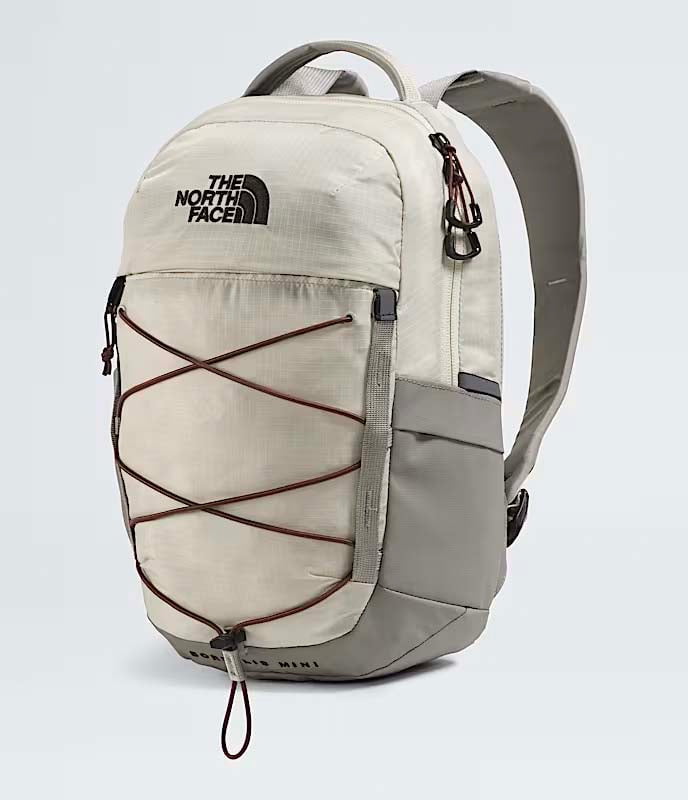 The North Face Borealis Mini Backpack