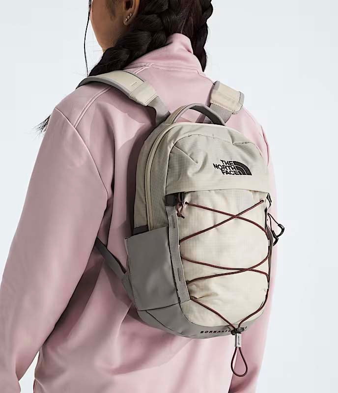 The North Face Borealis Mini Backpack