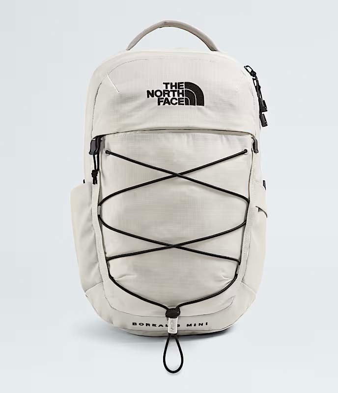 The North Face Borealis Mini Backpack
