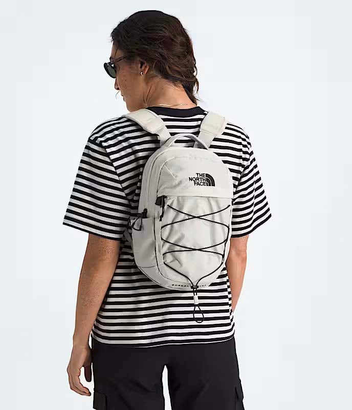 The North Face Borealis Mini Backpack