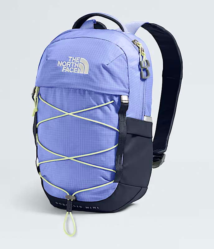 The North Face Borealis Mini Backpack