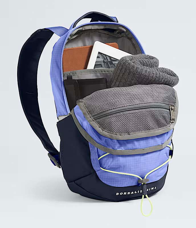 The North Face Borealis Mini Backpack