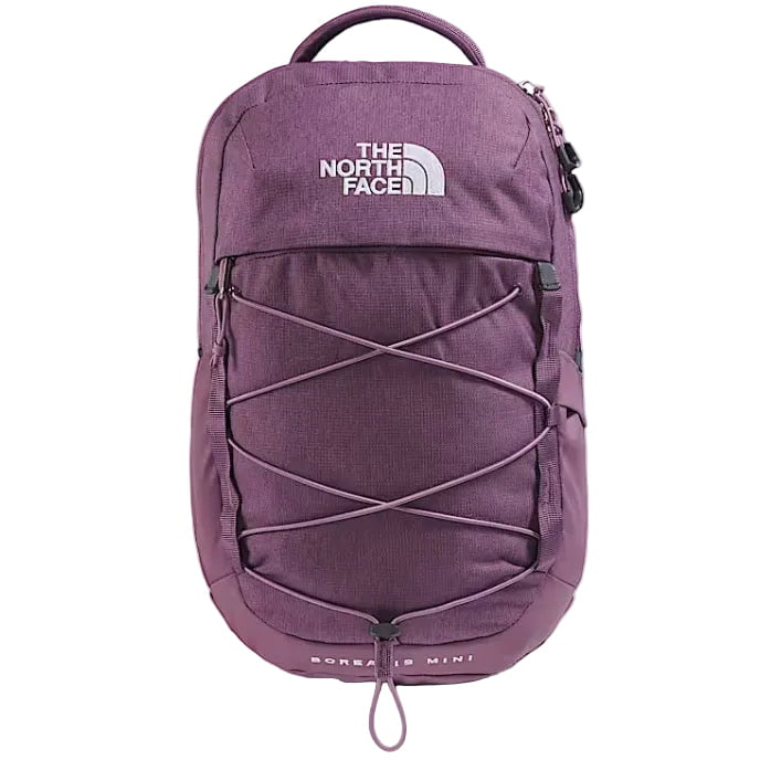 The North Face Borealis Mini Backpack
