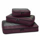 Briggs & Riley Travel Accessories Plum Briggs & Riley Travel Essentials Check In Packing Cube Set