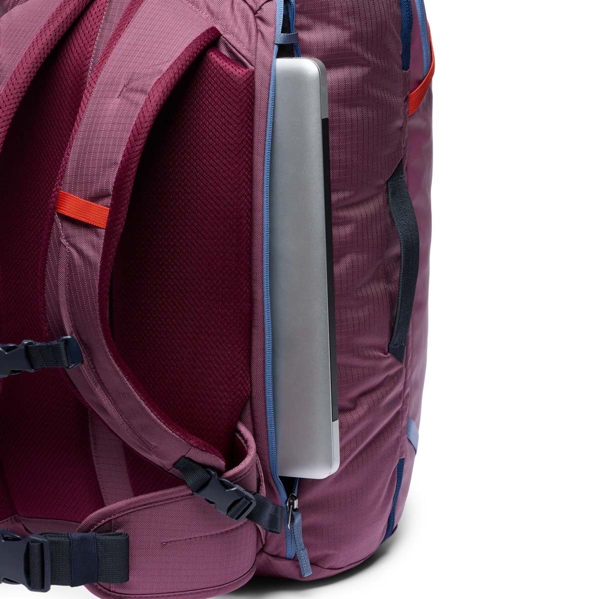 Cotopaxi Backpacks Fig Cotopaxi Allpa 35L Travel Pack - Fig