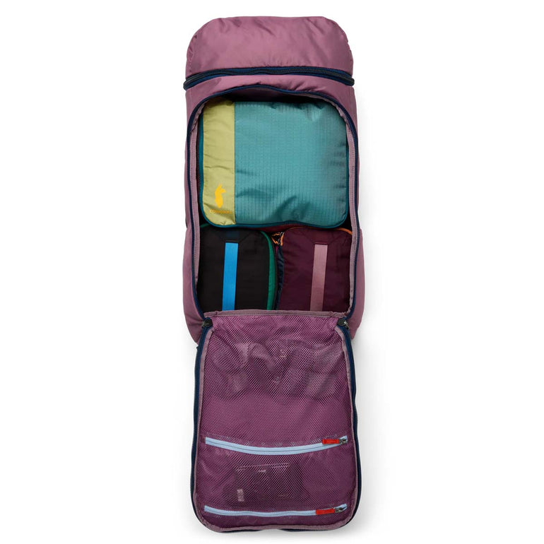 Cotopaxi Backpacks Fig Cotopaxi Allpa 50L Adventure Travel Pack - Fig