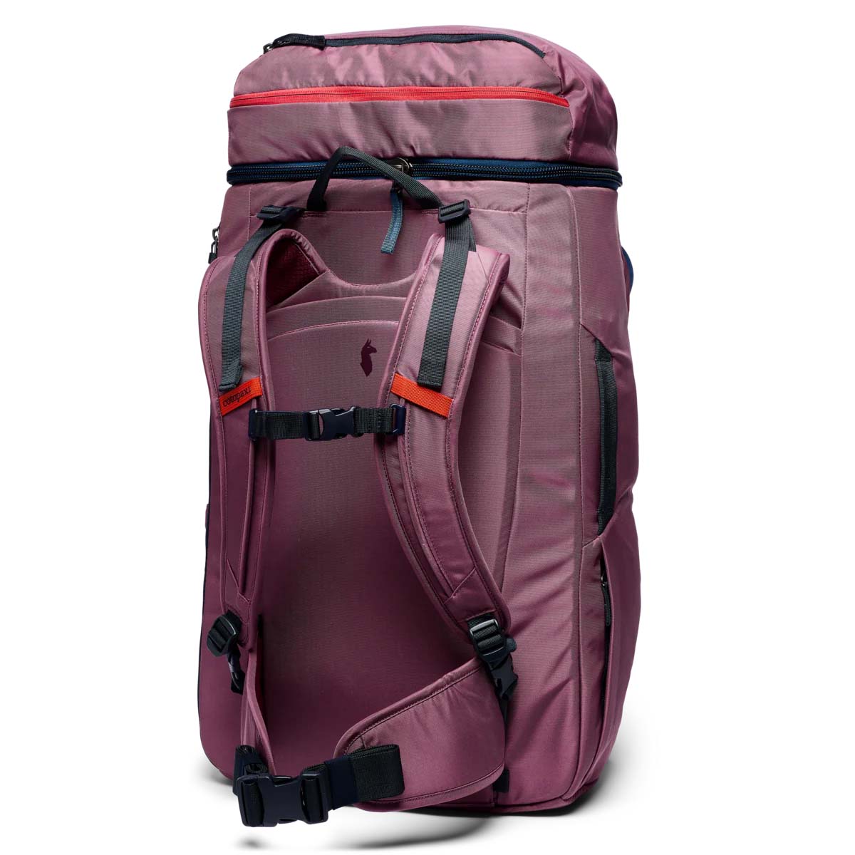 Cotopaxi Backpacks Fig Cotopaxi Allpa 50L Adventure Travel Pack - Fig