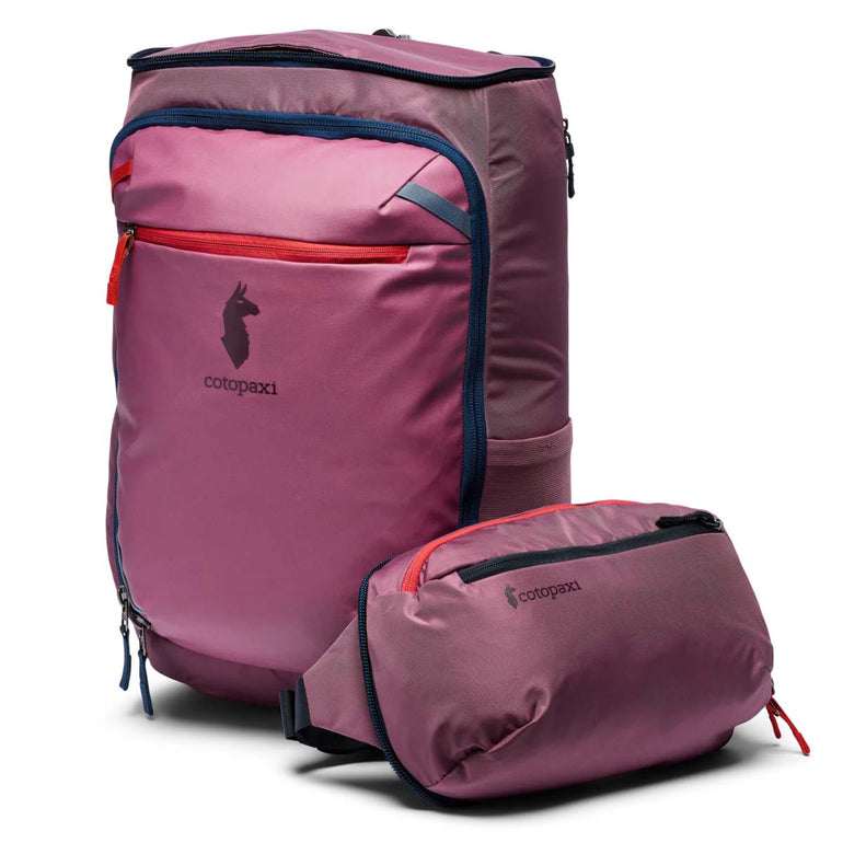 Cotopaxi Backpacks Fig Cotopaxi Allpa 50L Adventure Travel Pack - Fig