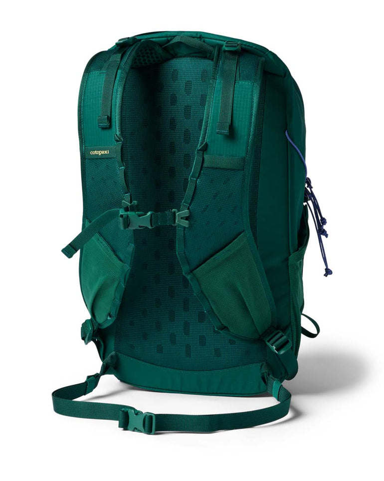 Cotopaxi Backpacks Kale Cotopaxi Elqui 24L Backpack - Kale