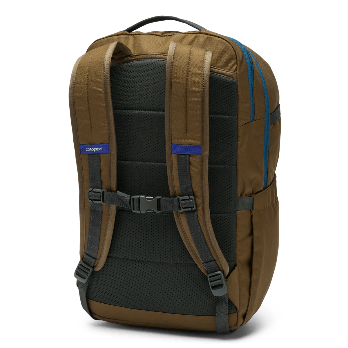 Cotopaxi Backpacks Live Oak Cotopaxi Chiquillo 30L Backpack - Cada Día - Live Oak