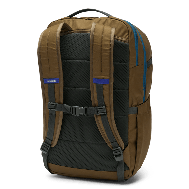 Cotopaxi Backpacks Live Oak Cotopaxi Chiquillo 30L Backpack - Cada Día - Live Oak