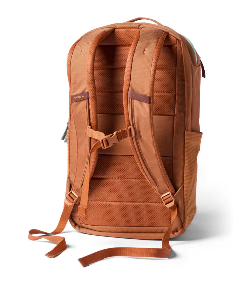 Cotopaxi Backpacks Whiskey Cotopaxi Allpa 26L Daypack - Whiskey