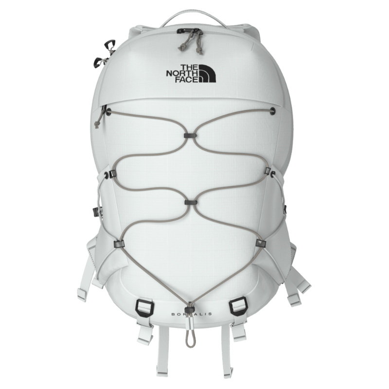 The North Face Borealis Backpack