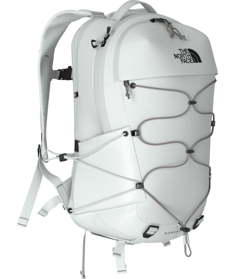 The North Face Borealis Backpack
