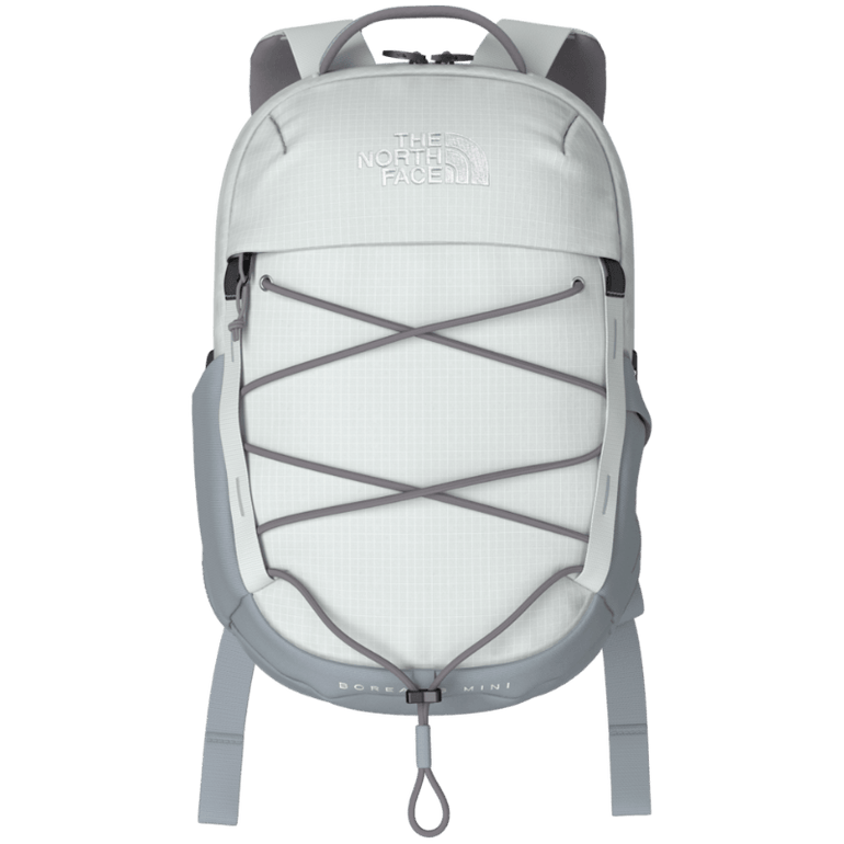 The North Face Borealis Mini Backpack