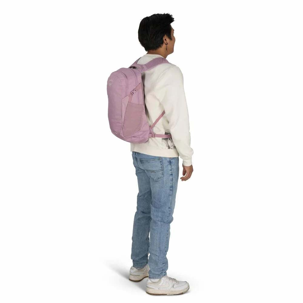 Osprey Backpacks Moody Burgundy Osprey Daylite Everyday Backpack - Moody Burgundy