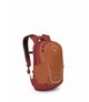 Osprey Backpacks Orange Dawn/Bazan Osprey Daylite Kid's Everyday Backpack