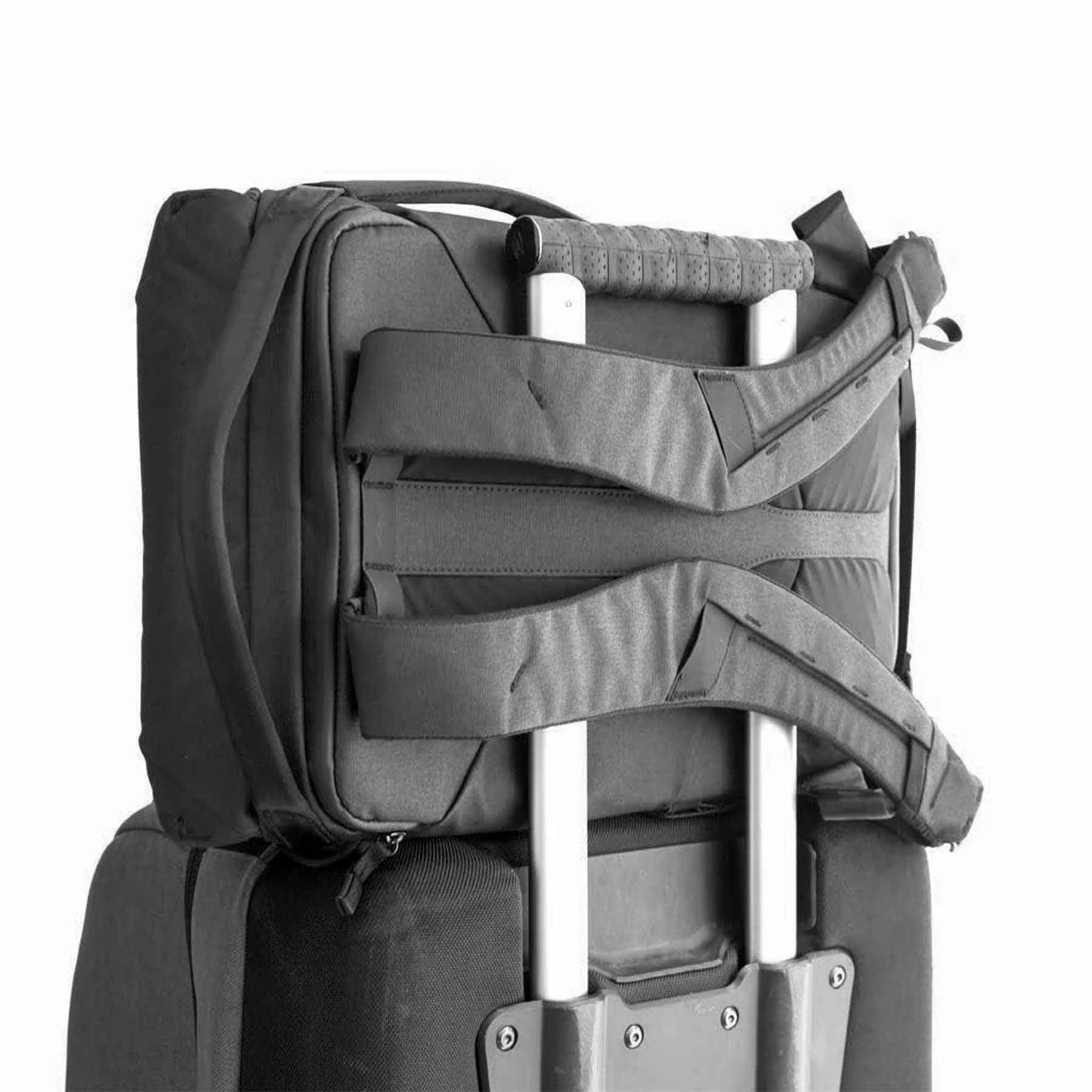 Peak Design Backpacks Peak Design Everyday Backpack 30L