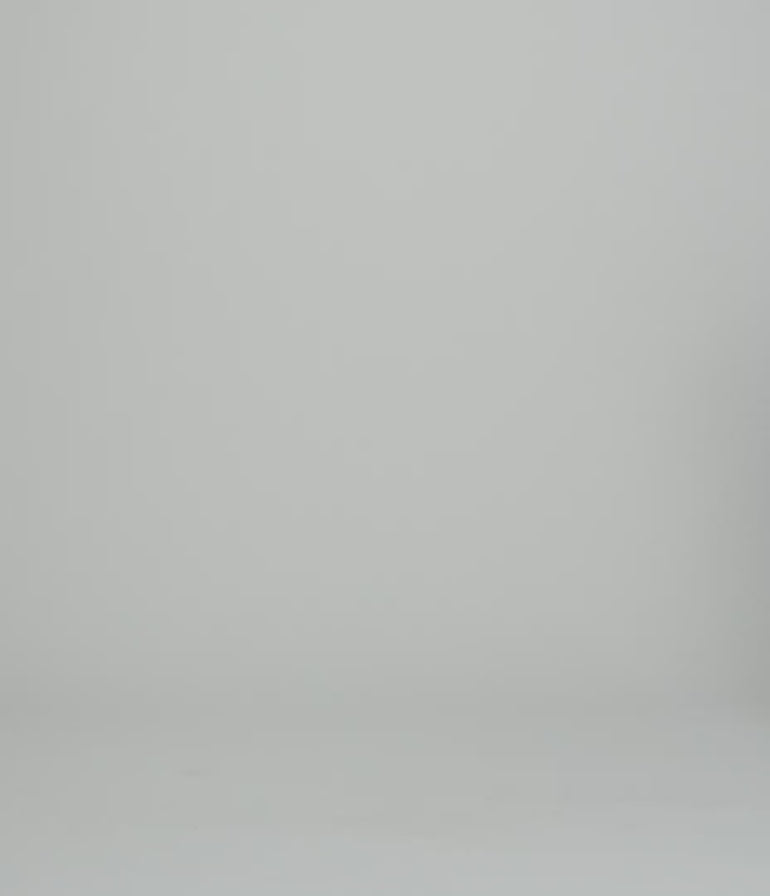 JanSport SuperBreak Plus Backpack - Gilded Relics Moon Flower