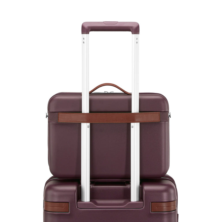 Samsonite Travel Accessories Samsonite Virtuosa Train Case