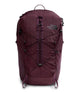 The North Face Backpacks Deep Burgundy The North Face Borealis Trail Backpack