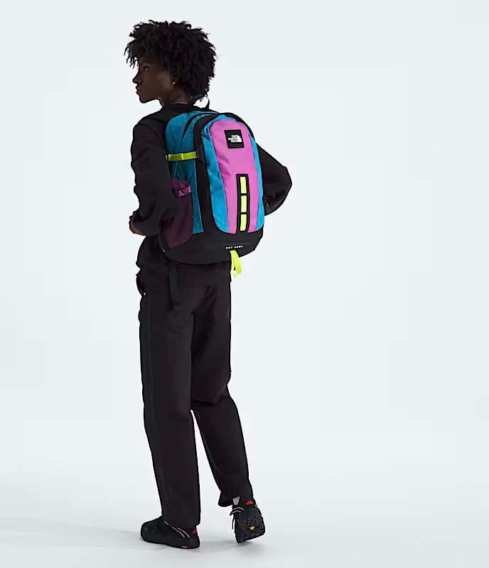 The North Face Backpacks The North Face Hot Shot SE