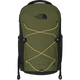 The North Face Backpacks Woodland Green/TNF Black/Honeyed Sand The North Face Jester Backpack